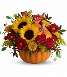 Autumn Joy from Anthony's Florist in Laurel, MS